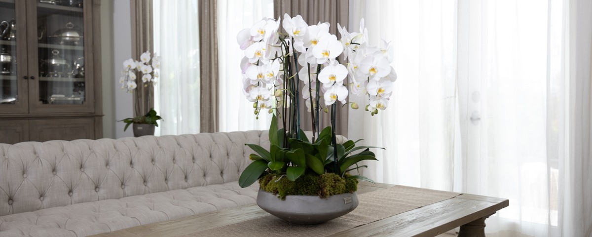 Flower subscription for home and office
